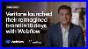 10 Days To Launch A Reimagined Global Brand How Verifone DID It With Webflow
